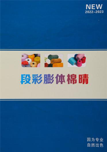 16S/2段彩膨體棉晴
