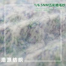 1/6.5NM五彩噴毛紗