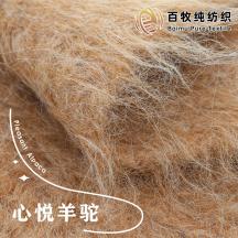 心悅羊駝