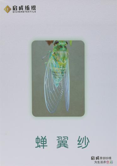 1/28NM 蟬翼紗