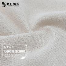 1/35Nm 無感彩蔥進口和紙