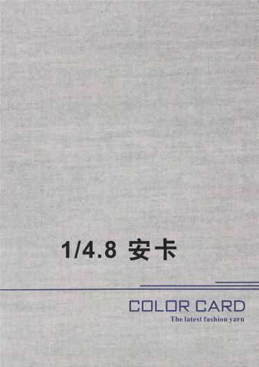 1/4.8 安卡