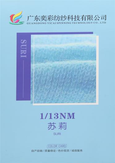 1/13NM 蘇莉