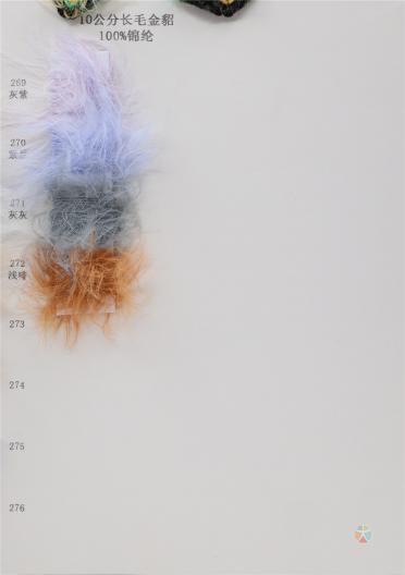 10公分長毛金貂