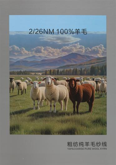 2/26NM 100%羊毛