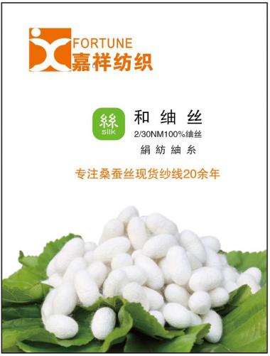 2/30NM 和?絲