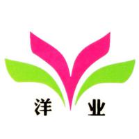 東莞市洋業紡織有限公司