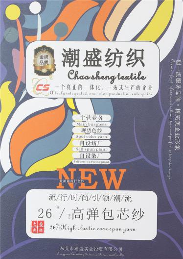 26S/2 高彈包芯紗